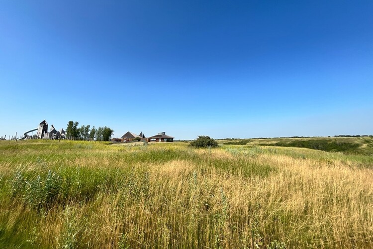 Reestablishing Lost Connections through Grassland Conservation